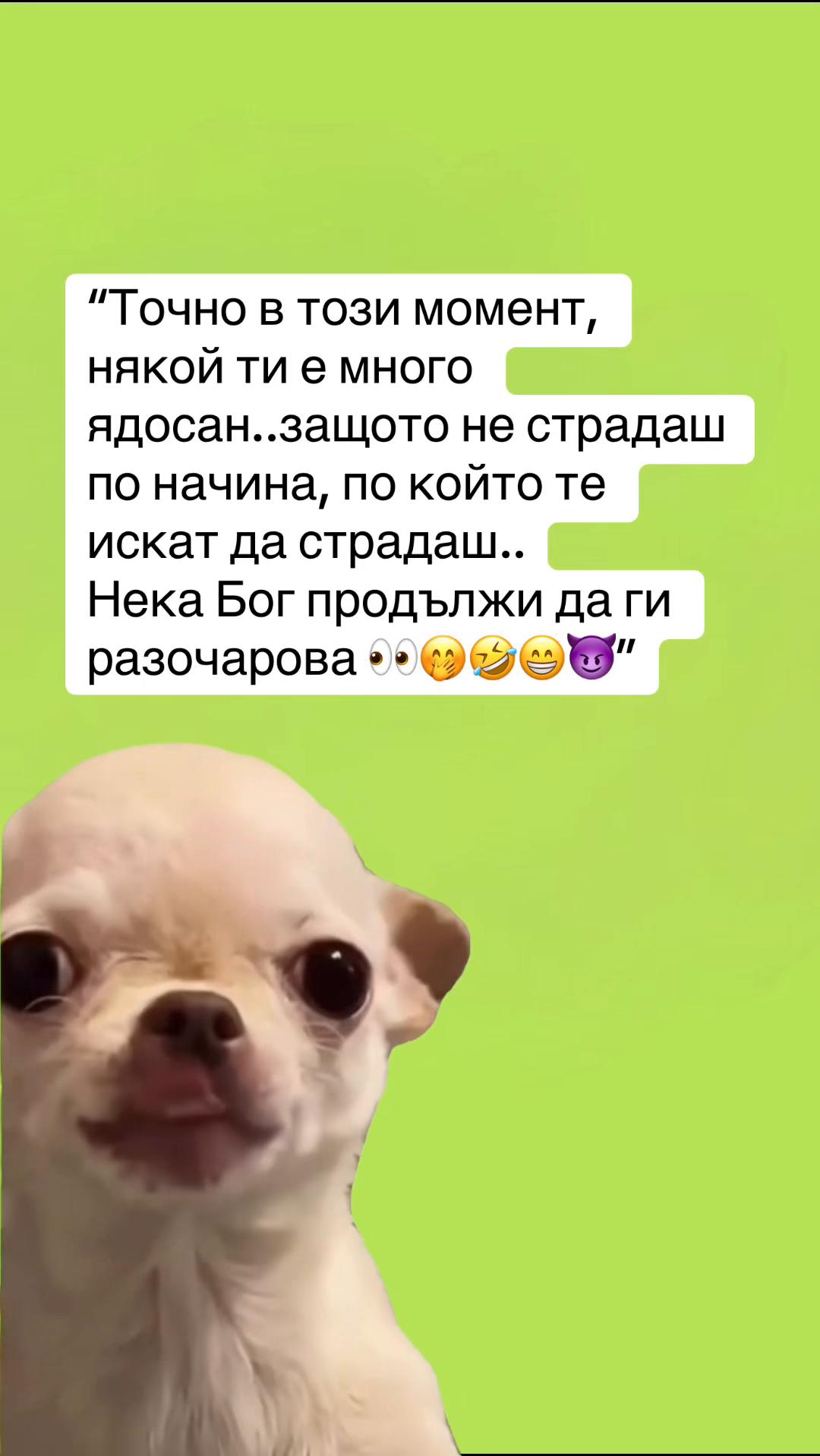 @Павлина Куцева-Сирак