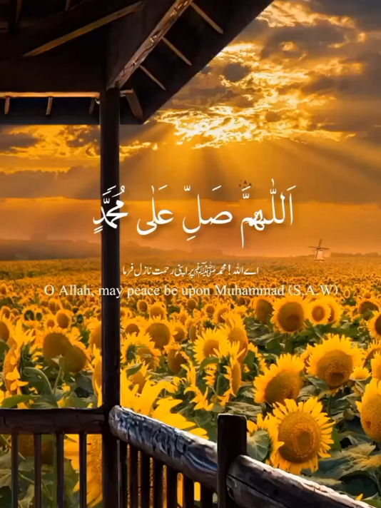 @Laiba Malik 💖✨