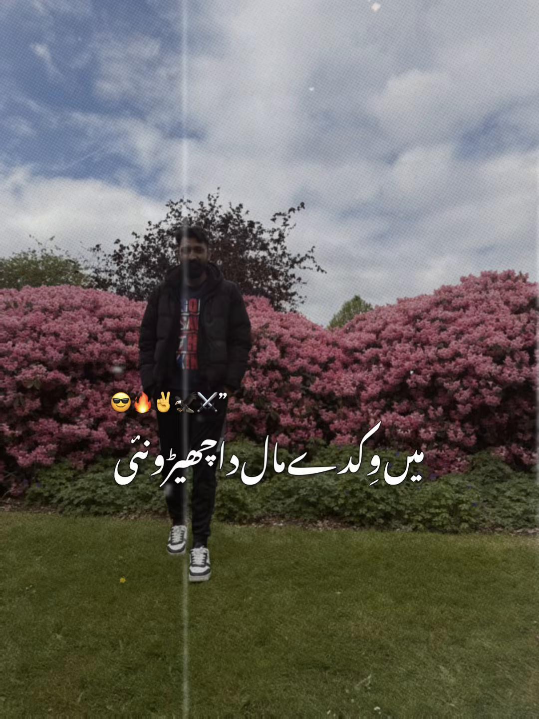 @Sanwal Sahi✅