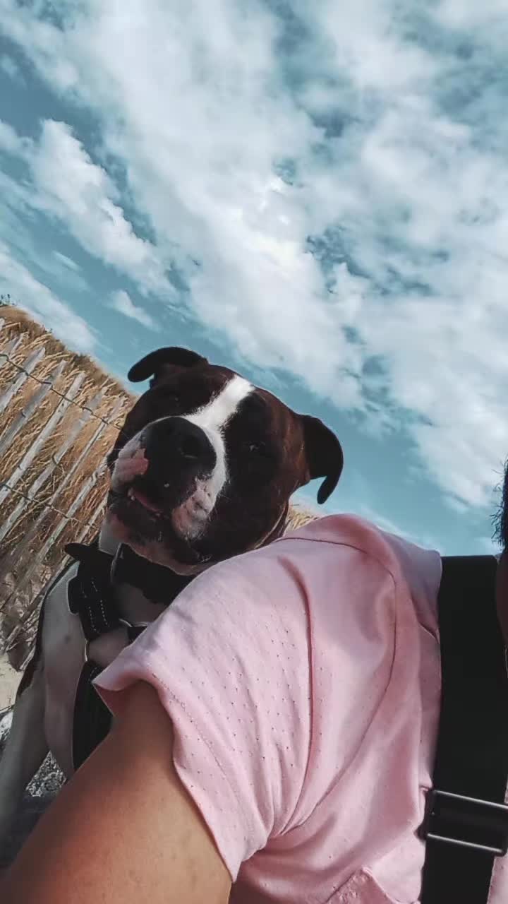 @RomanoMotard