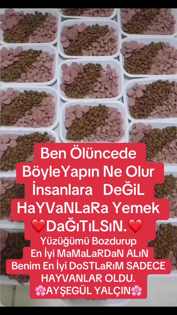 @AYŞEG&Uuml;L 06