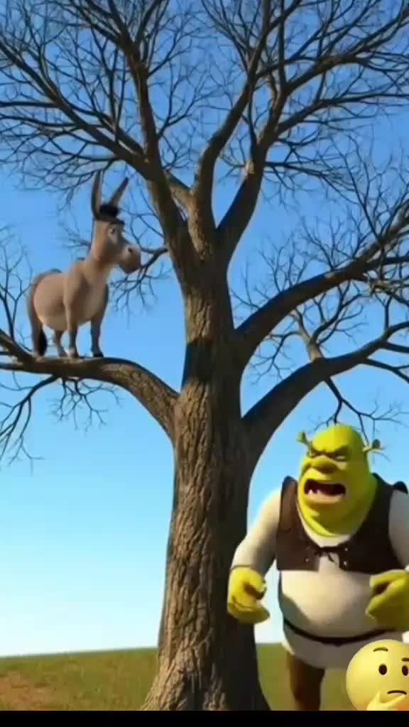 @Z a a1