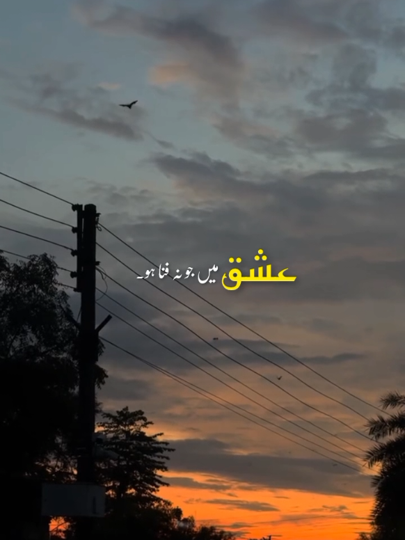 @𝙏 𝘼 𝙔 𝙔 𝘼 𝘽🍁&bull;