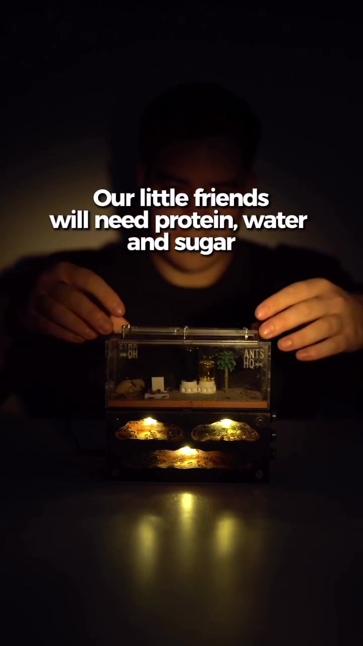 @antshq