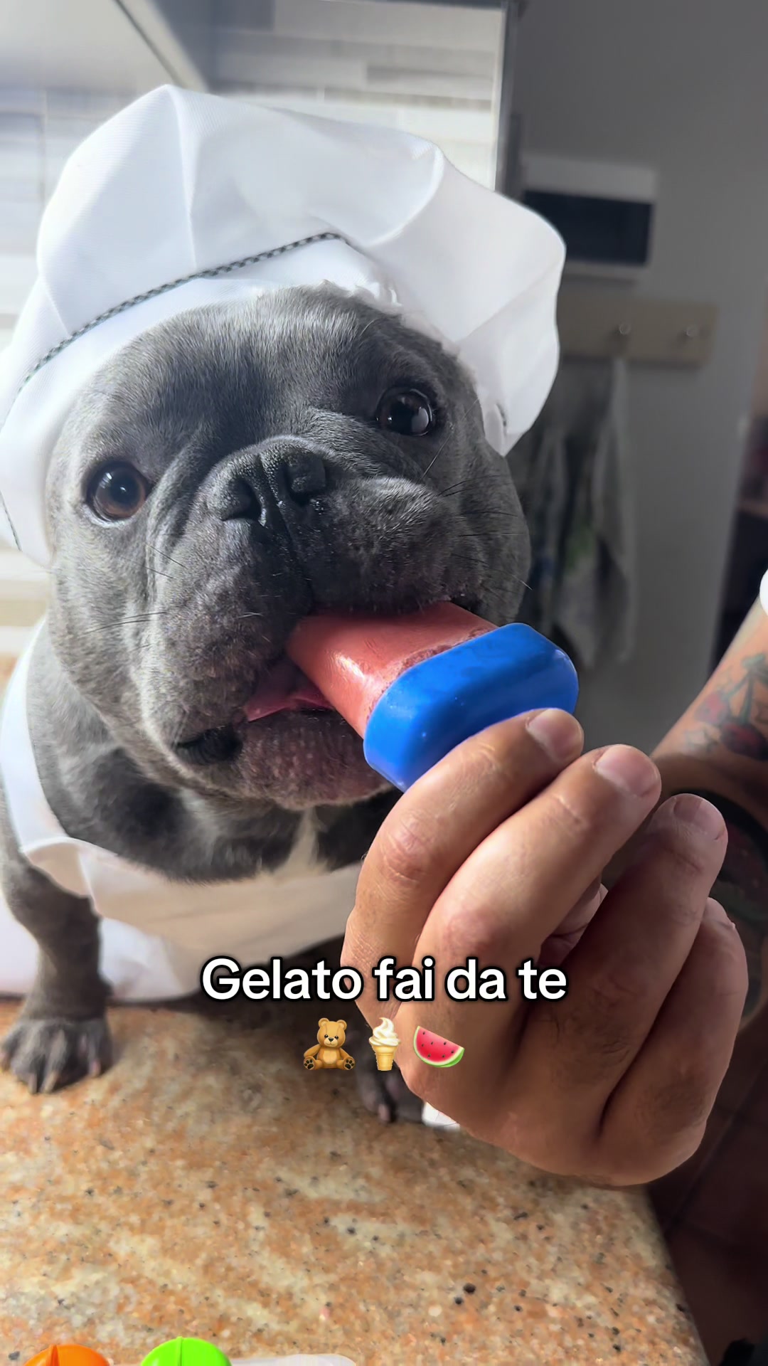 @𝐴𝑛𝑑𝑟𝑒𝑎 𝑒 𝐶𝑖𝑐𝑐𝑖𝑜🧸