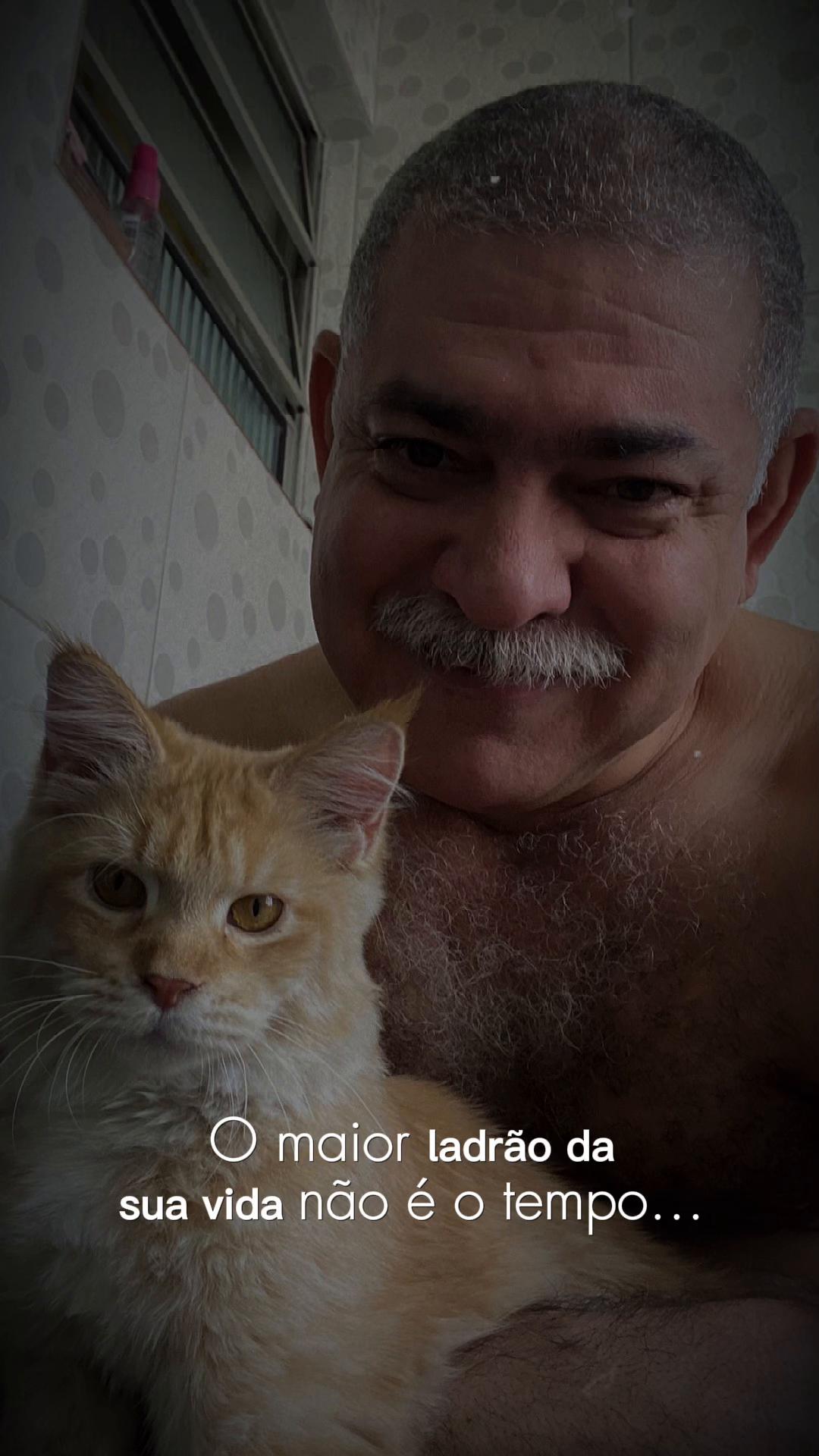 @🇧🇷🇧🇷falconbear99🇧🇷🇧🇷