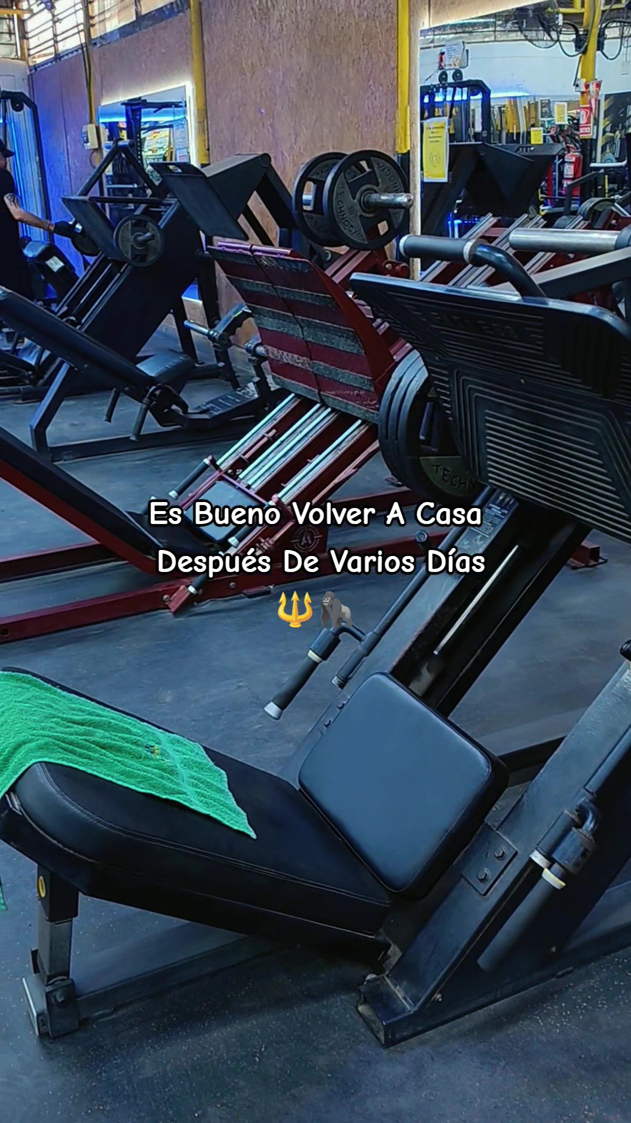 @Katriel García🔱🦍