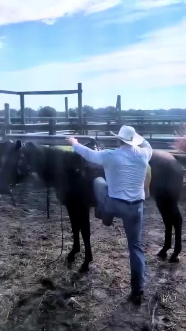 @Duyn Equine Horse Training