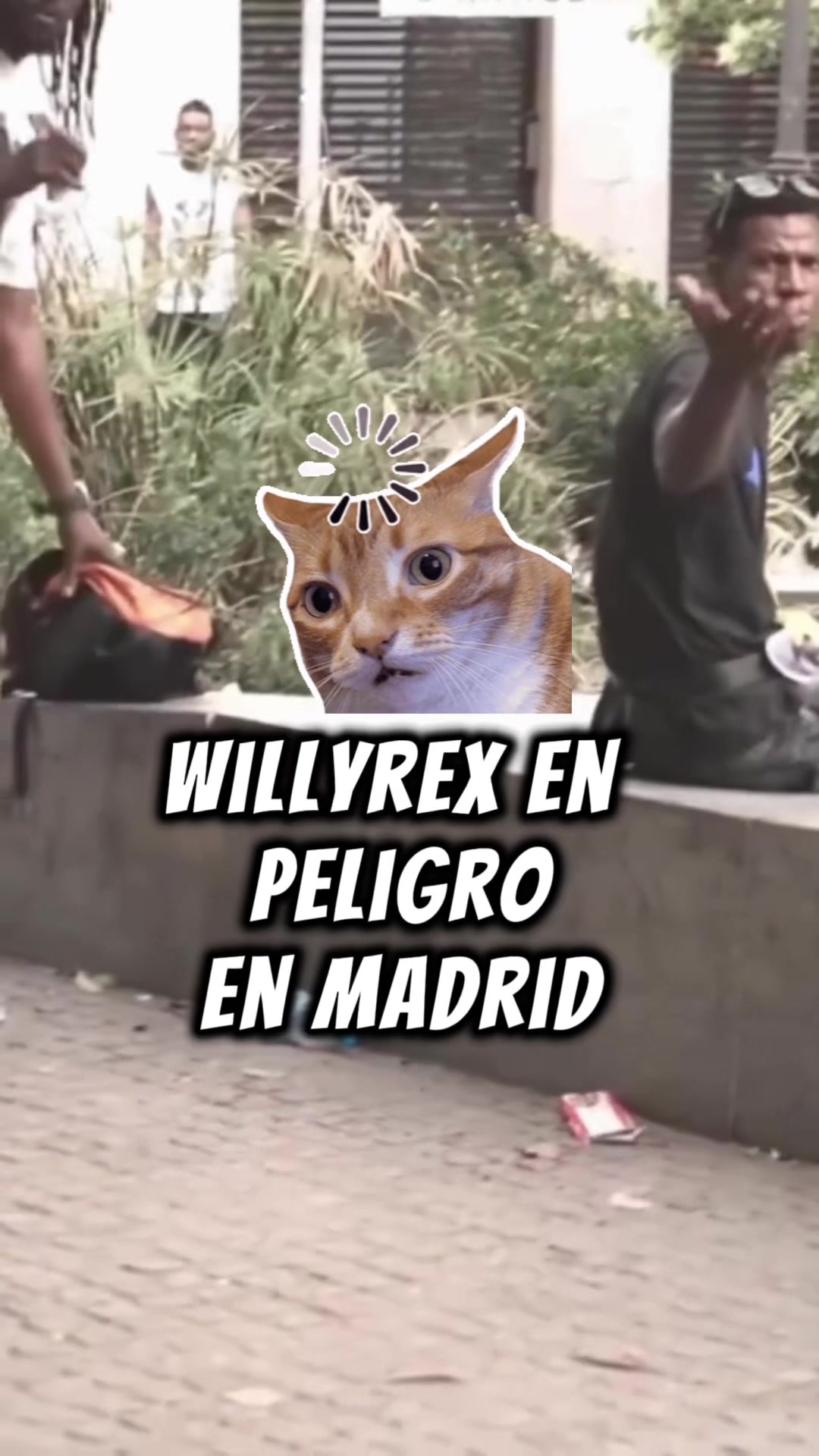 @sustillo