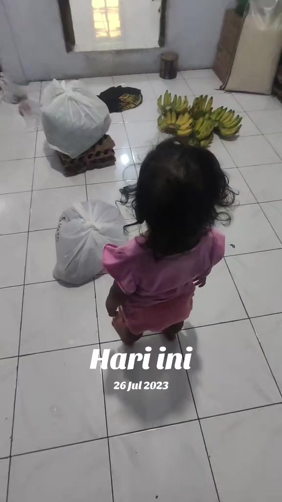 @supplier sayur dan buah sby