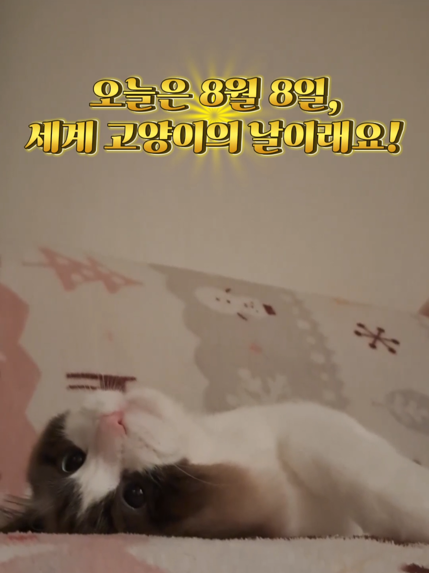 @ddoong2(๋ฑ์ด)