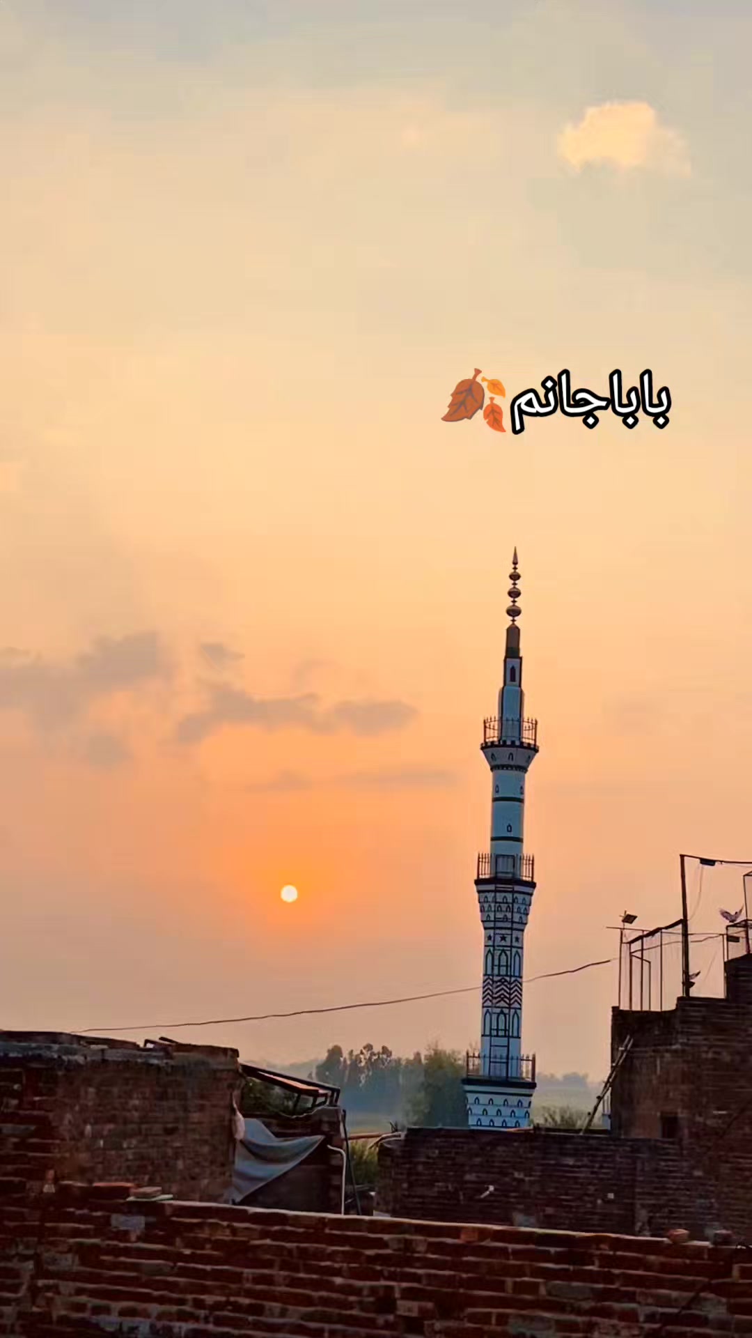 @✨ Islamic vibes ✨