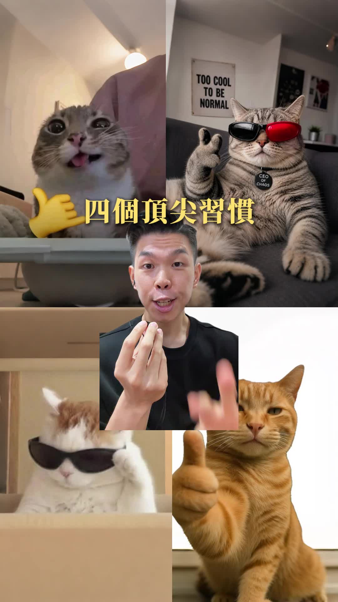 @張馬丁🙏