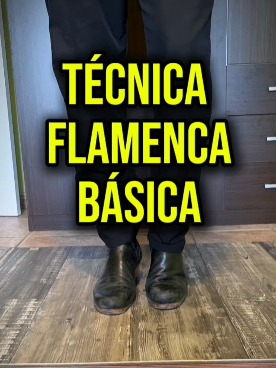 @Mario de los Santos Flamenco