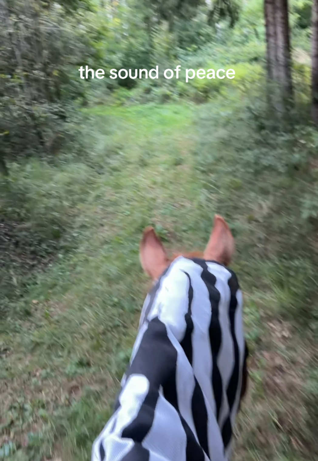 @Anna.sdth