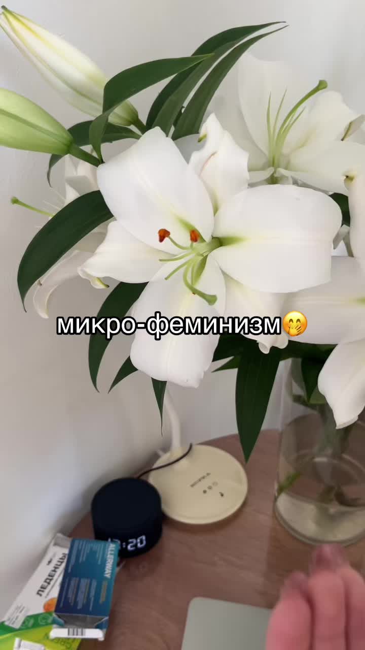 @VILIREY🕊️