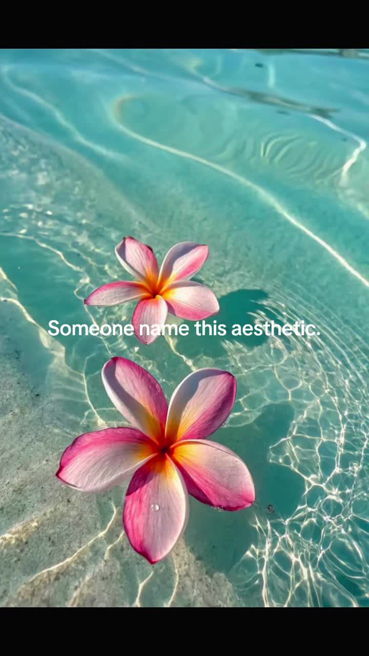 @⏤✦✰✦✰✦⏤
