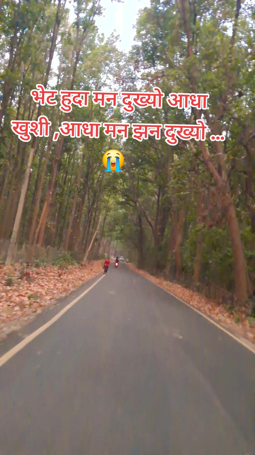@ङौसार
