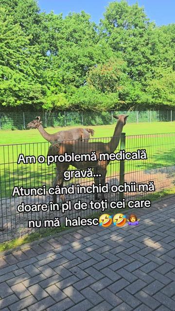 @Alexandra