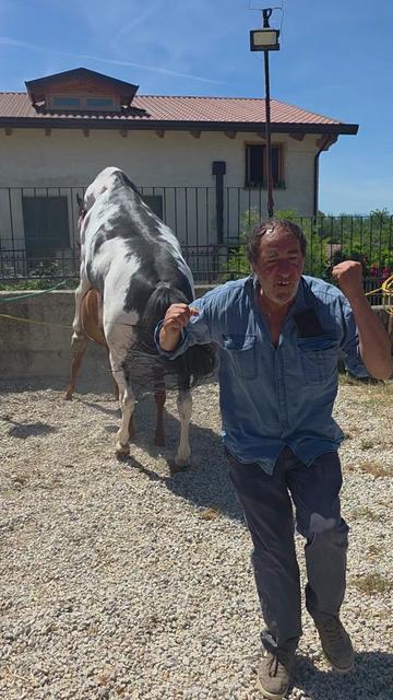 @vito marotta
