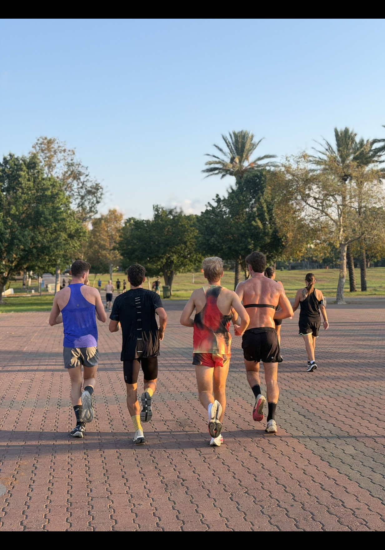 @talavidan_runner