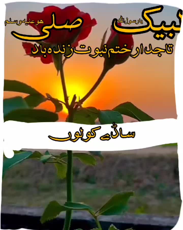 @Uzair edits15