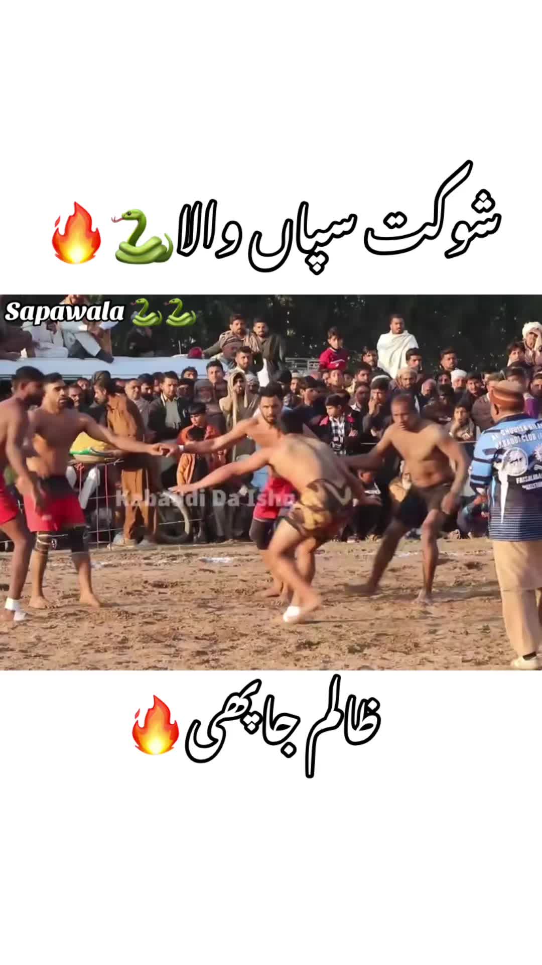 @Shokat sapa wala 🐍🐍