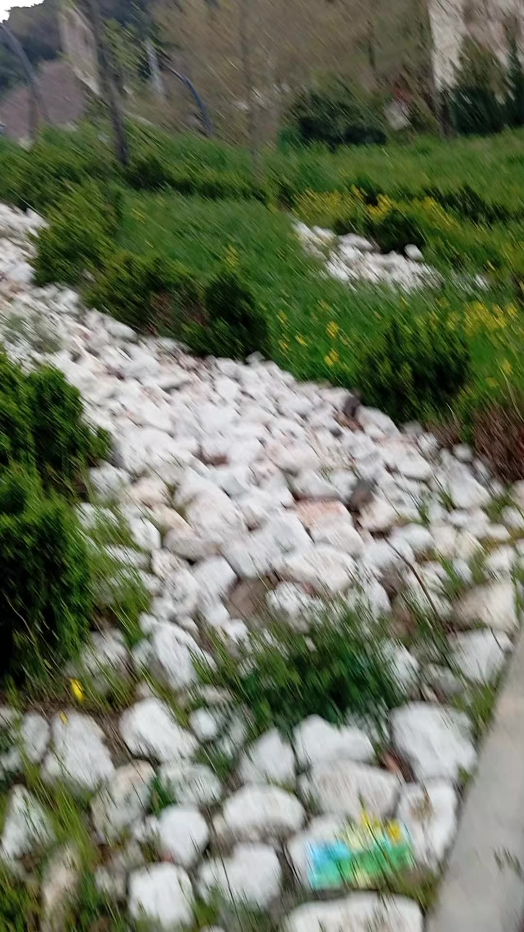 @RÜYA