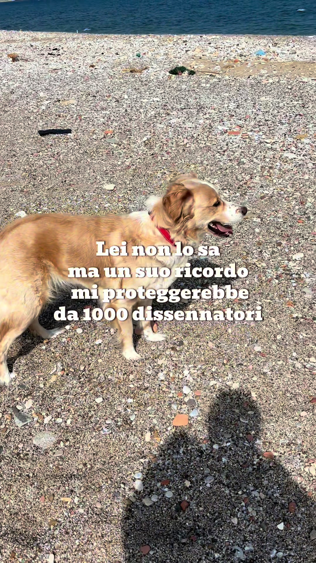 @EUPHORlA95