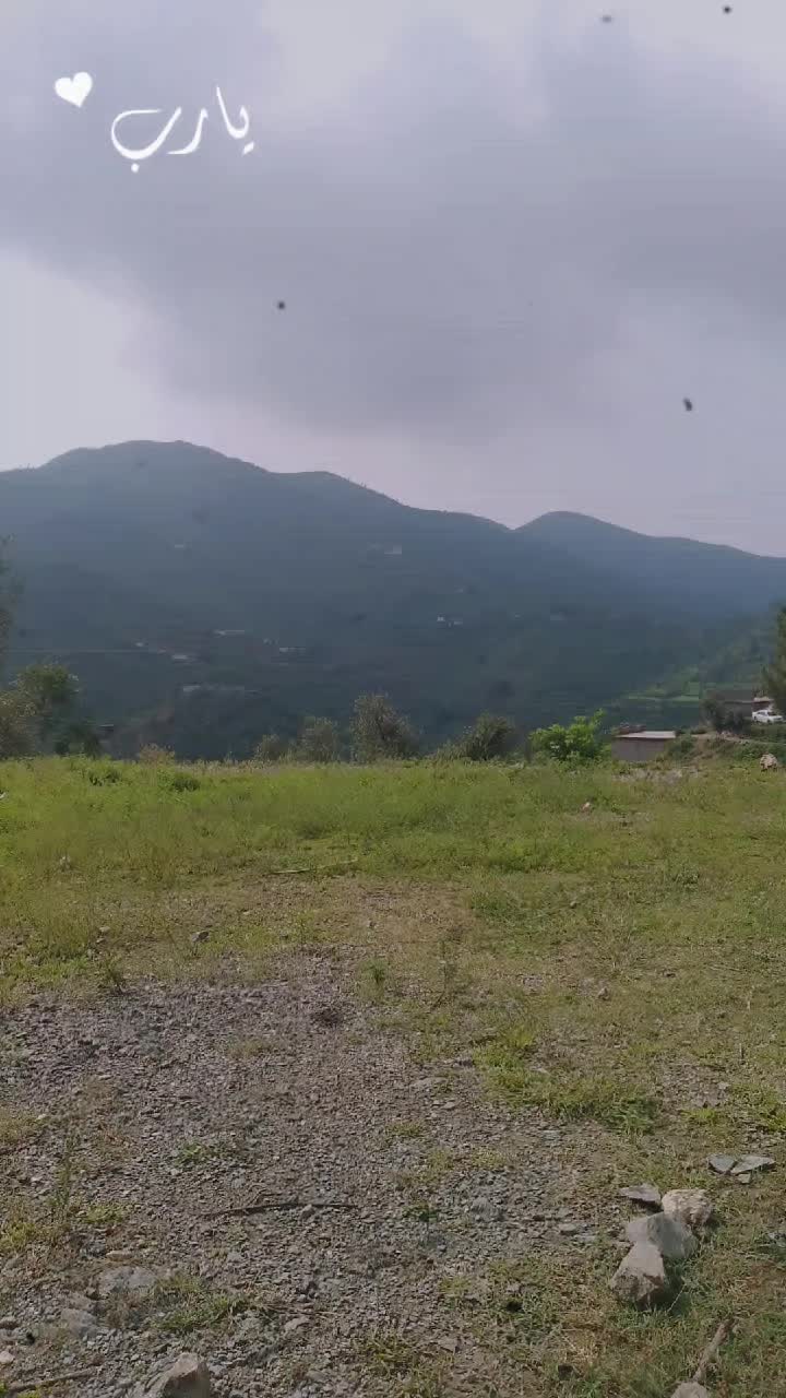 @𝗜𝗦𝗟𝗔𝗠𝗜𝗖 𝗩𝗜𝗕𝗘𝗦 ✅