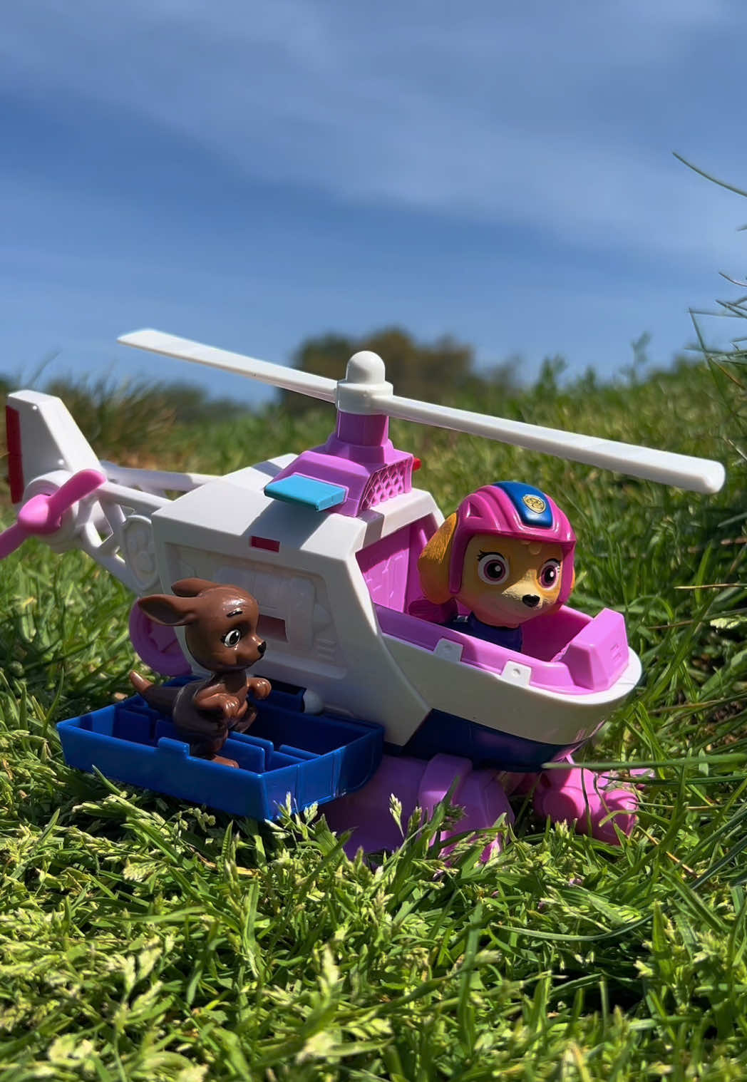 @pawpatrol