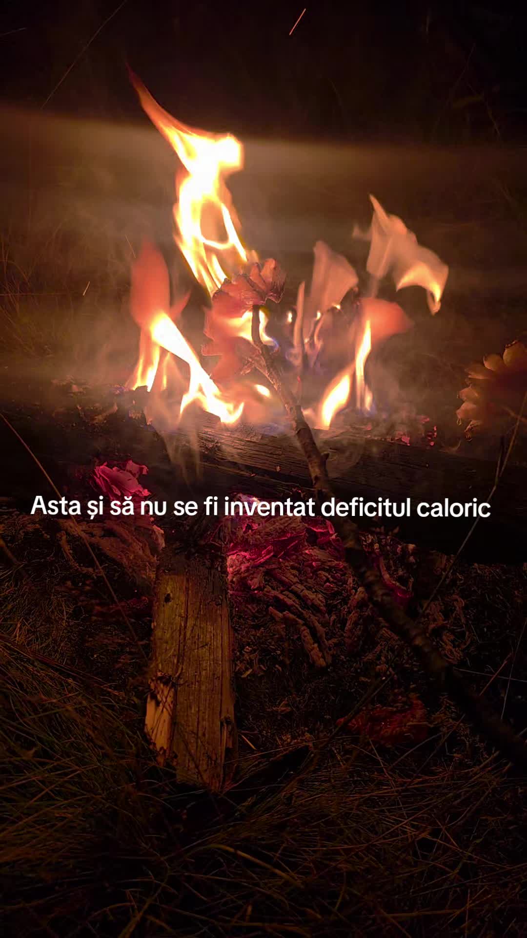 @Prajiturela