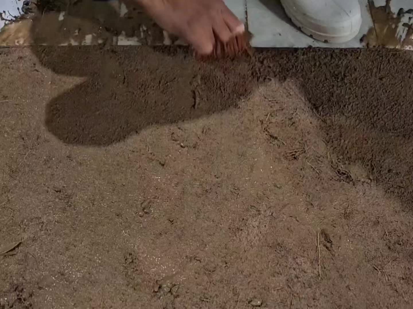 @San Cleaning