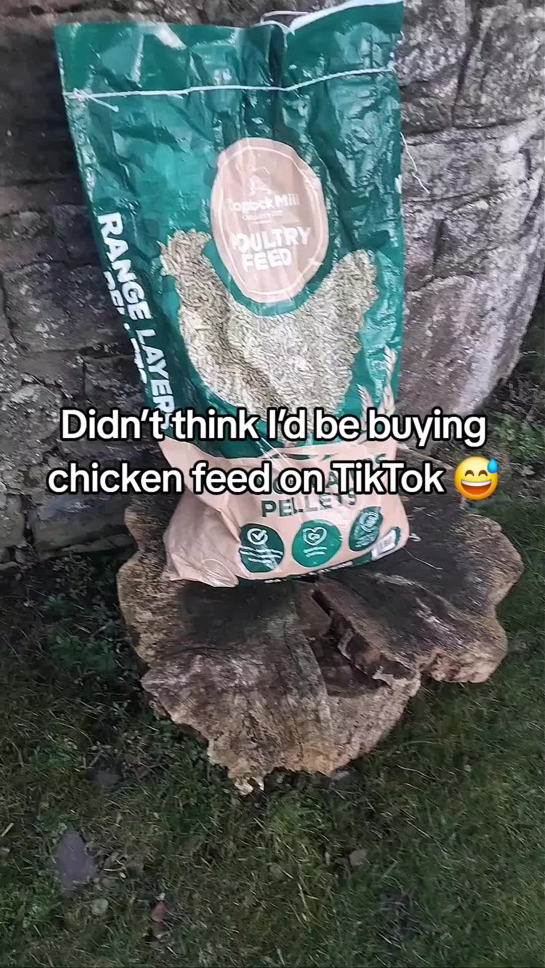 @Pawfectlypicked