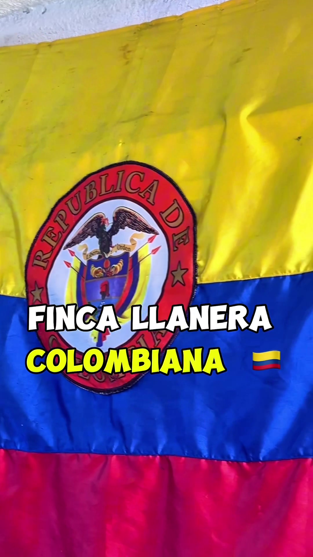 @Un T&iacute;o Legal