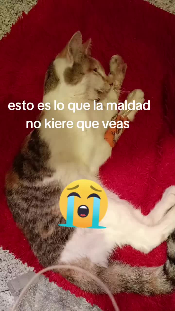 @Vero Jimenez Ferrer