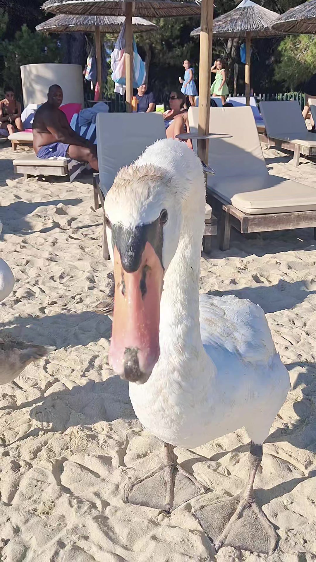 @𝓚𝓮𝓵𝓵𝔂 𝓕𝓸𝓾𝓷𝓽𝓸𝓾𝓴𝓲