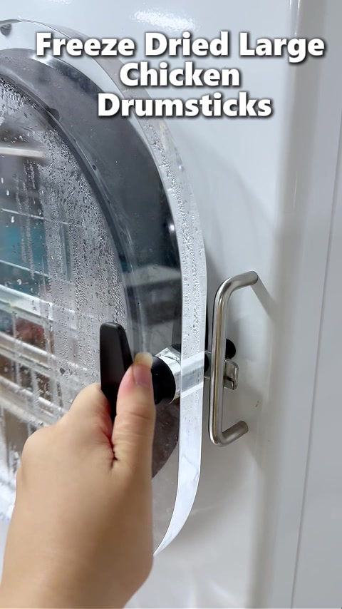 @Dalle freeze dryer