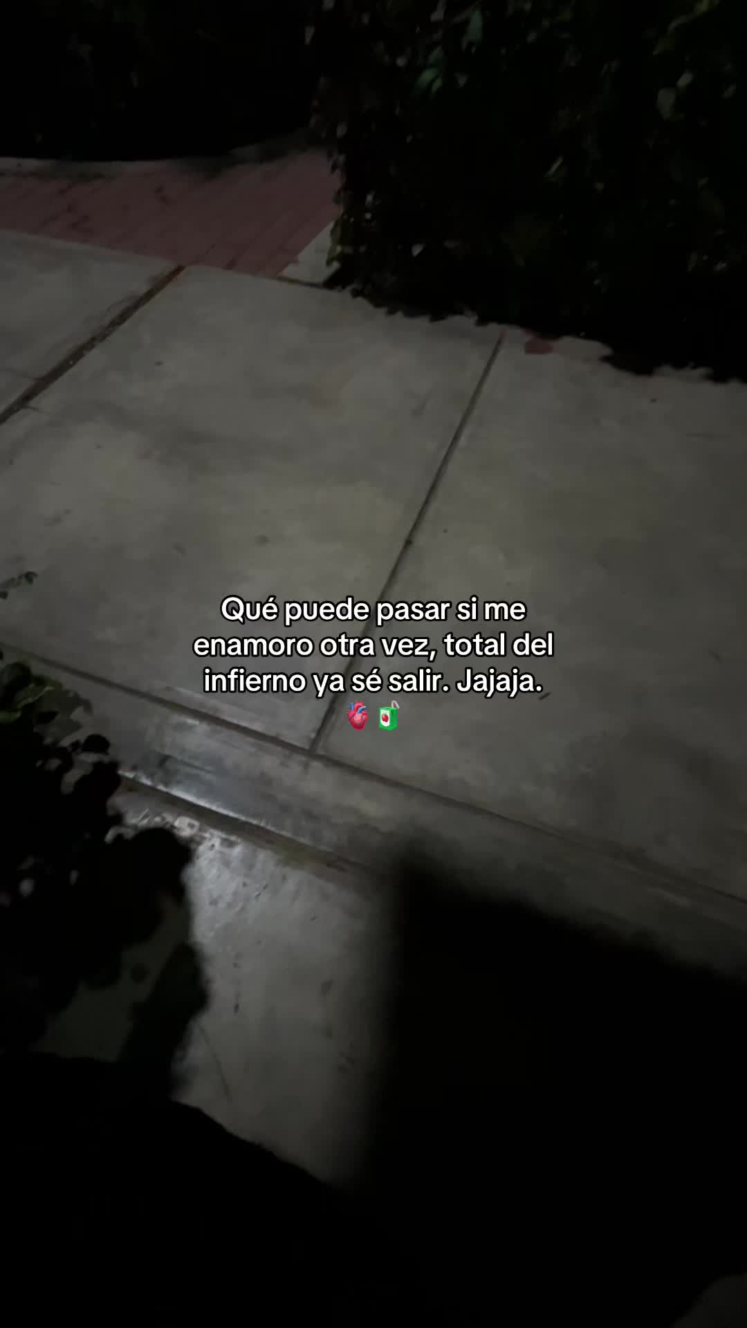 @Gatocix 🐱