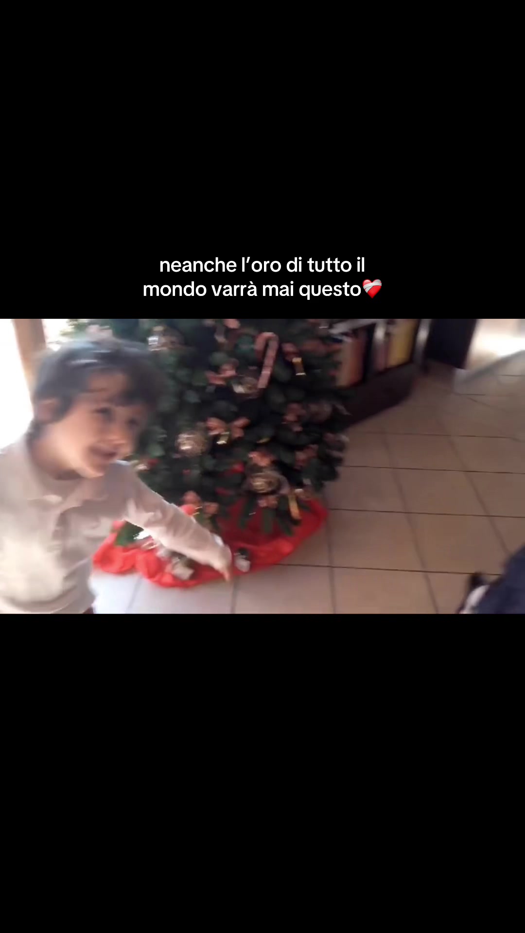 @elegants🐹