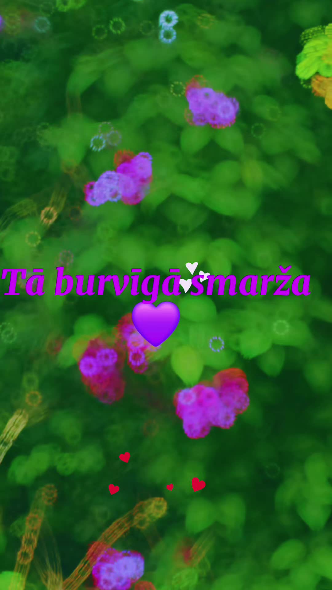 @...🇱🇻Linda🇬🇧...