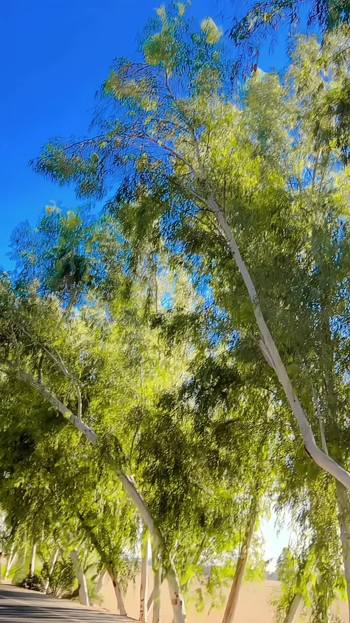@𝖐𝖎𝖘𝖍𝖎 𝕽𝖆𝖏𝖕𝖔𝖔𝖙🦅