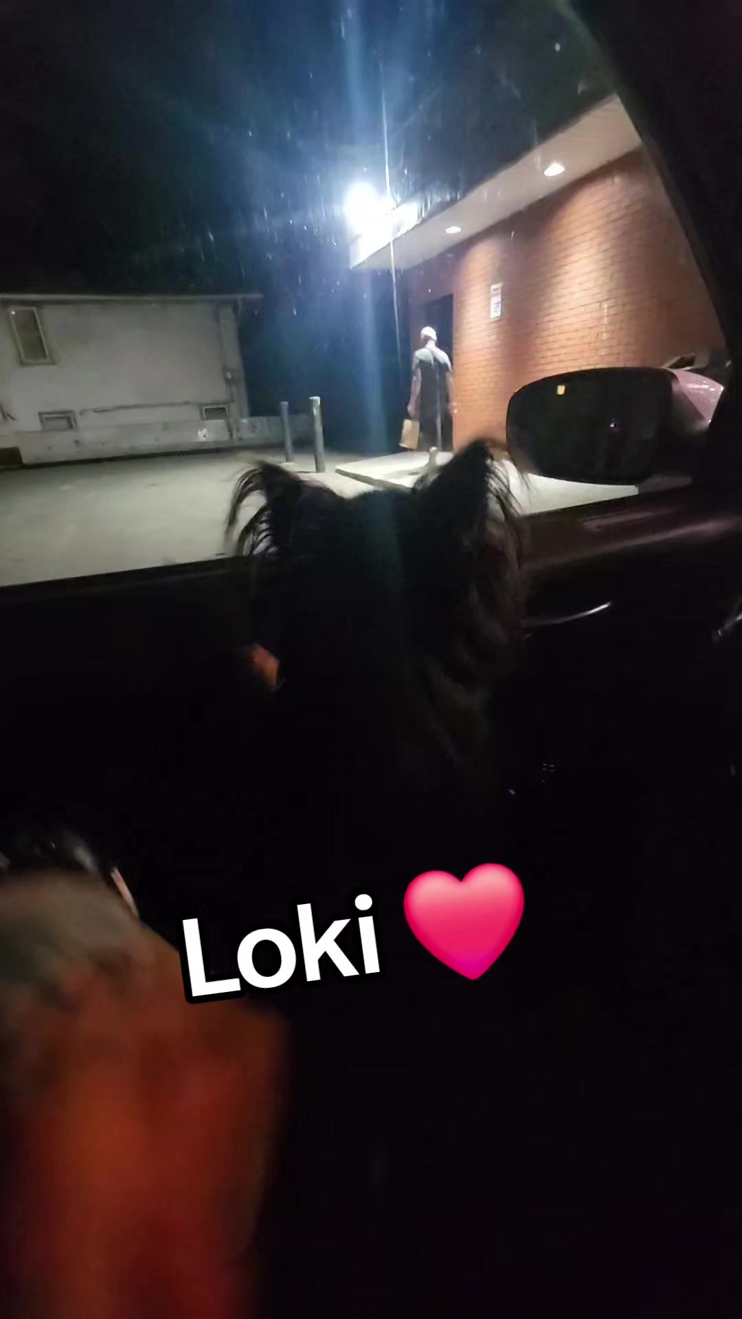 @LØNEWØLF🇨🇦