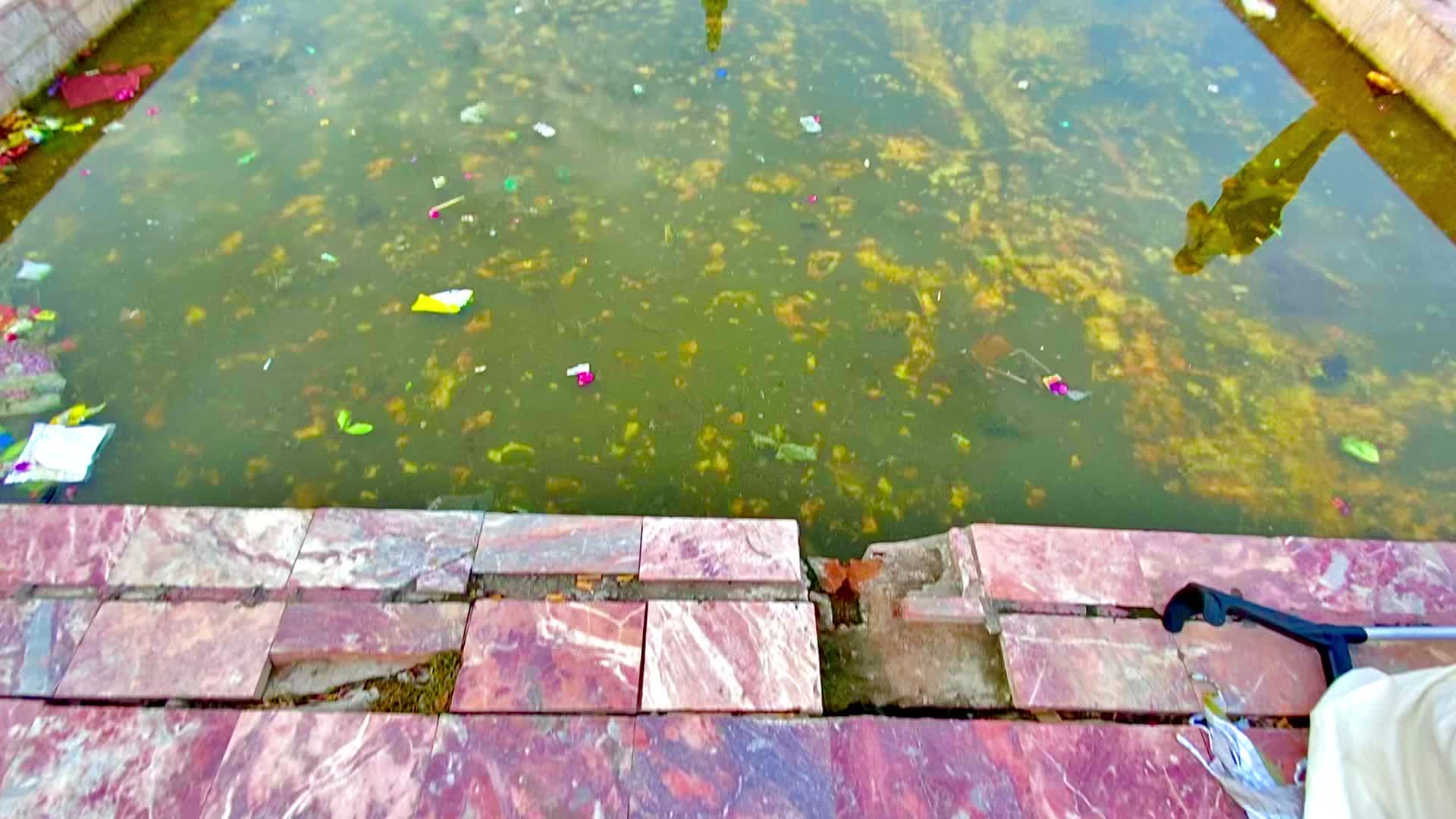@ShیRy آرائیں 🌱🌴💝