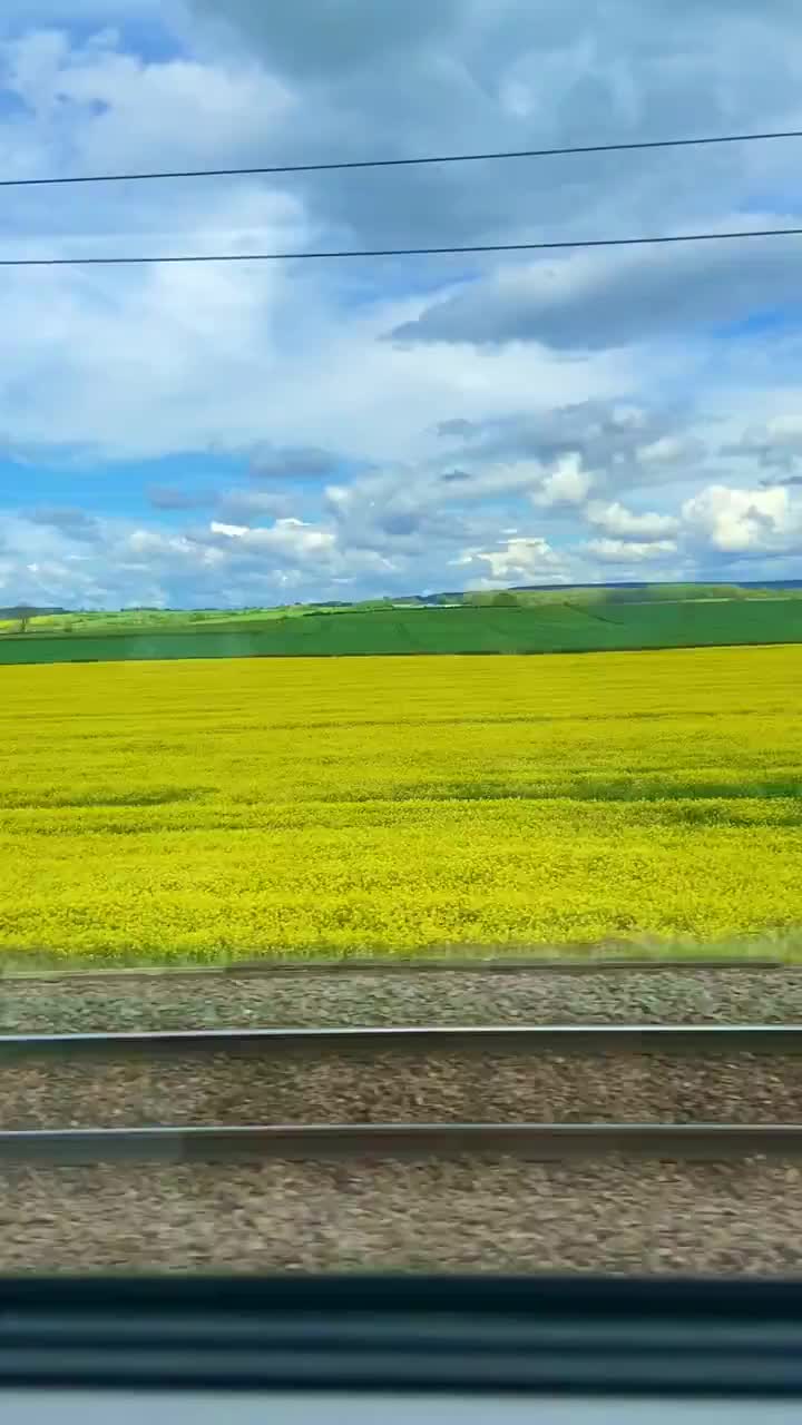 @thingsisee_withsounds