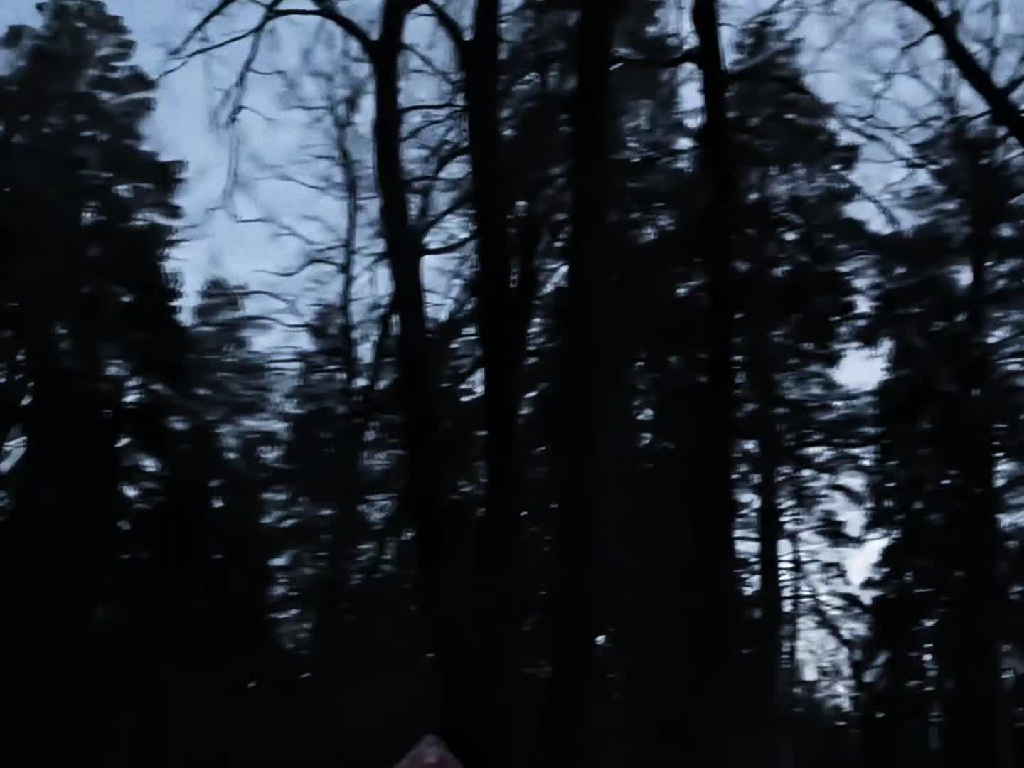 @𝖁𝖆𝖒𝖕𝕸𝖆𝖝𝖎𝖊𓂀♡❀