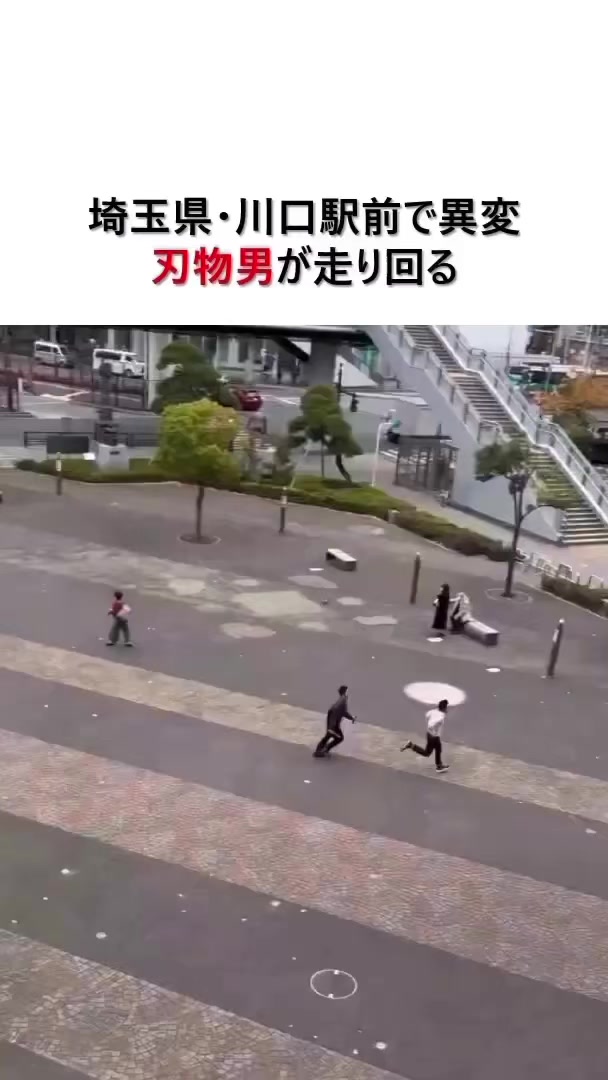 @🍄南極迷惑バナナ君‼️