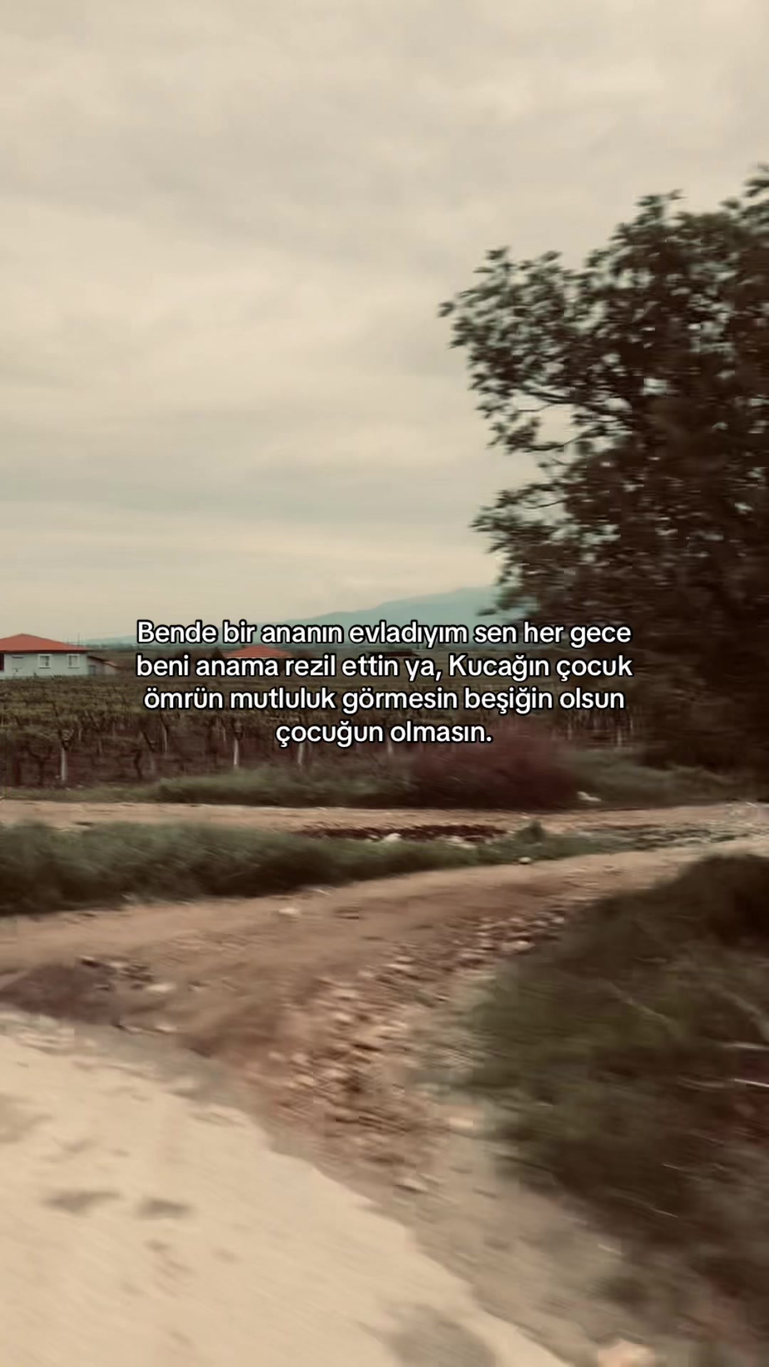 @ᴍᴇʜᴍᴇᴛ ᴀʟɪ ᴋᴏ&ccedil; 