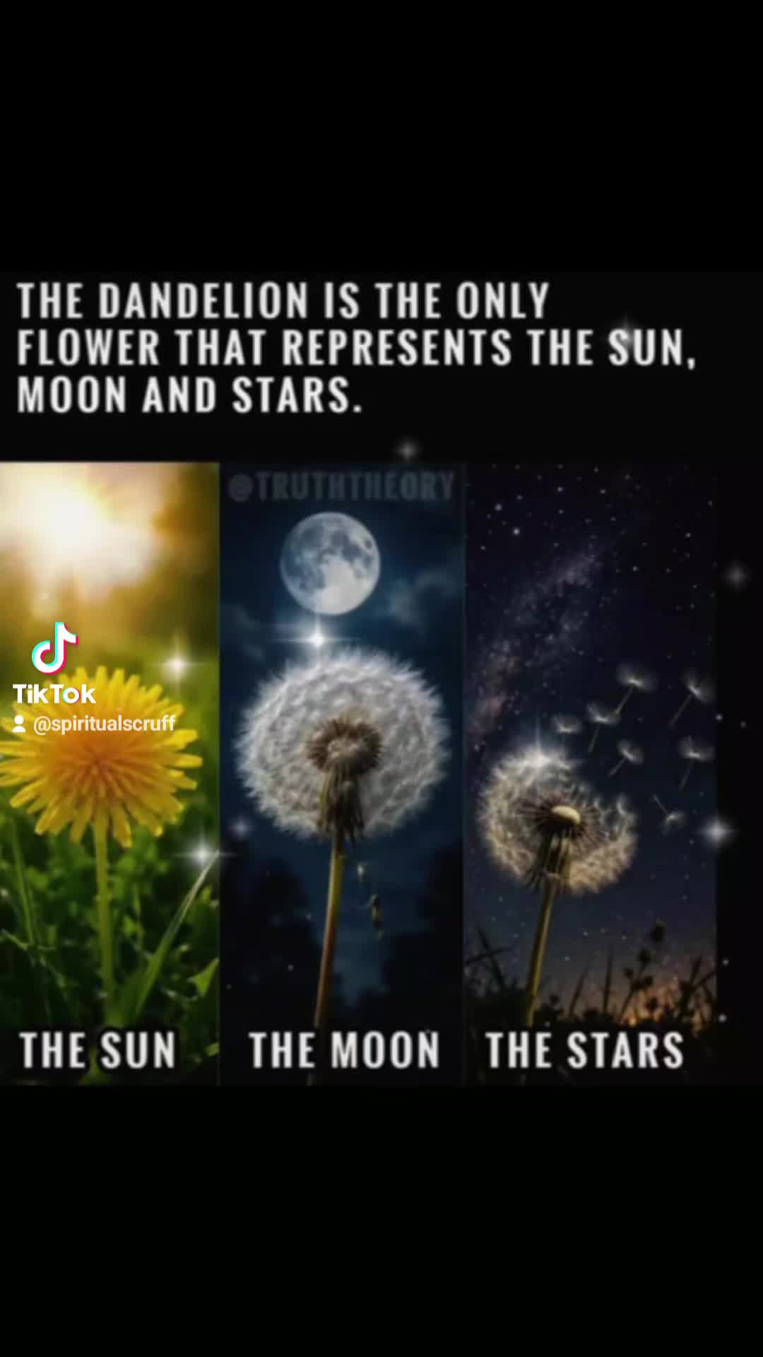 @Spiritualscruff
