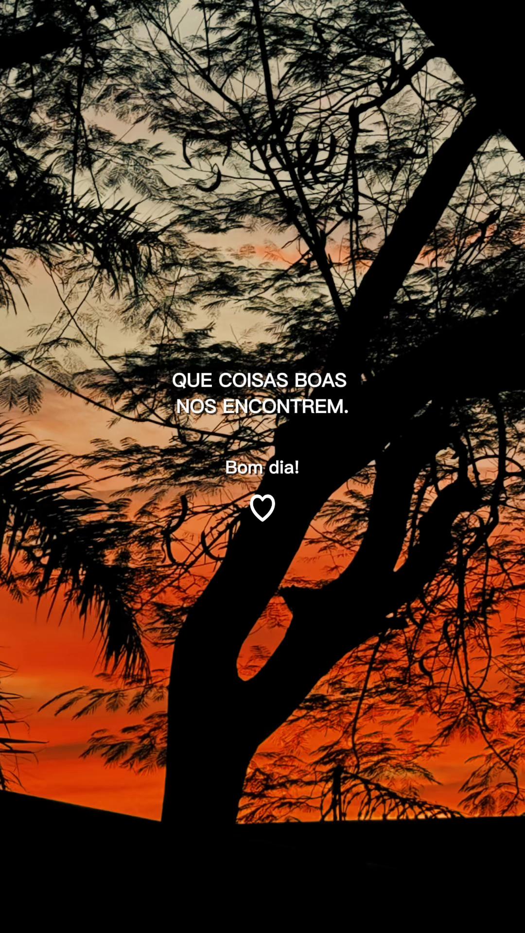 @Rosane ☾𖤓